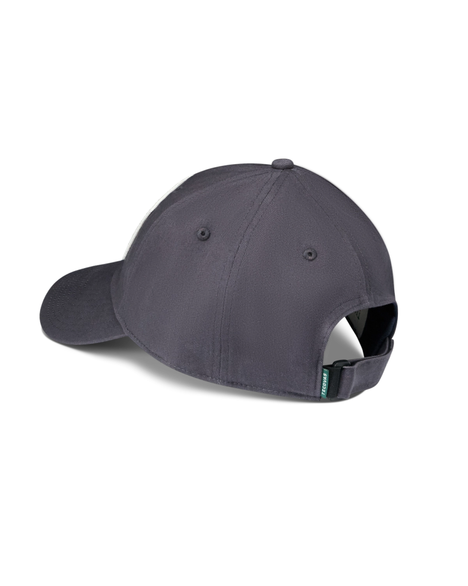 Alternative view of General Store Dad Hat